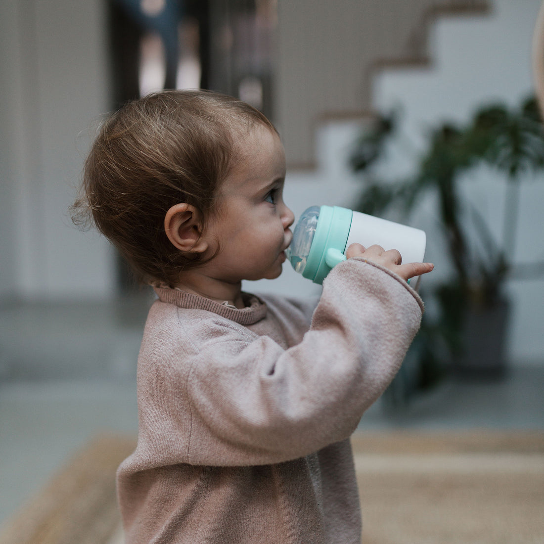 Sage Sippy Cup Handles